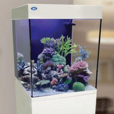 JBJ Aquarium - 20 Gallon White Cubey Midsize All In One Tank - Nestor' Aquariums & Pets