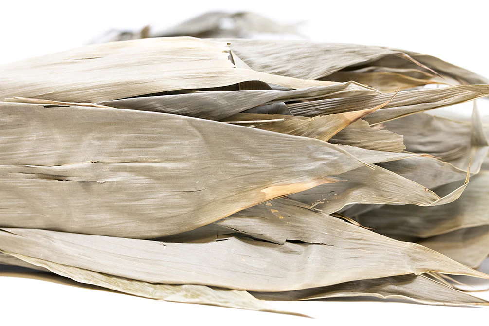 Bamboo Leaves - Nestor' Aquariums & Pets