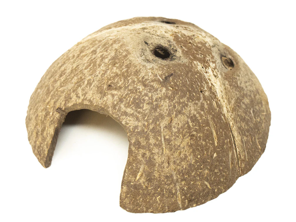 Aquatic Arts Natural Hide Combo Pack — Coconut Hut, Beal & Buddha Pods - Nestor' Aquariums & Pets