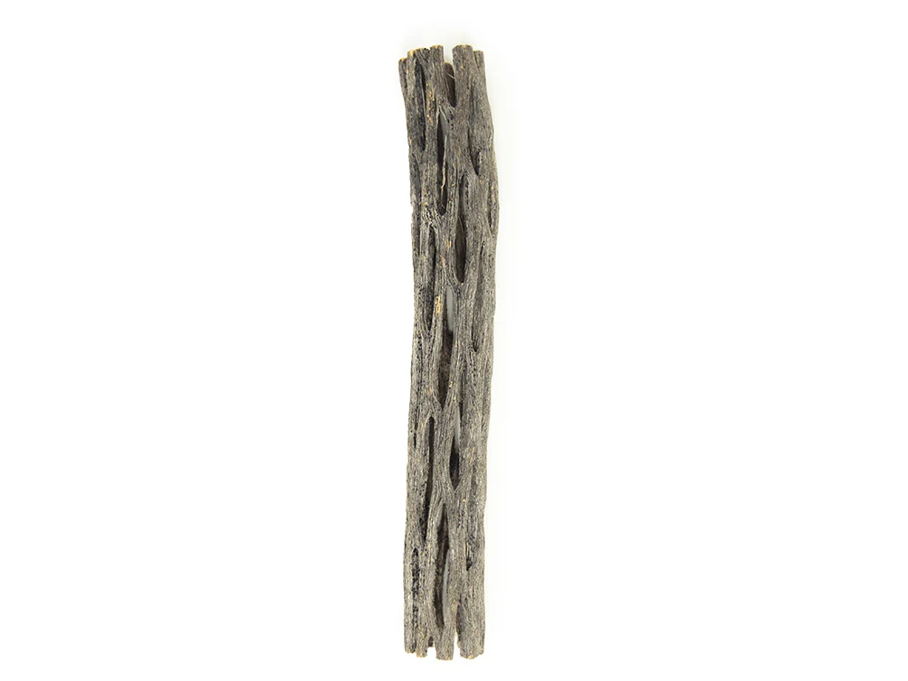 Buckhorn Cholla Wood - Nestor' Aquariums & Pets