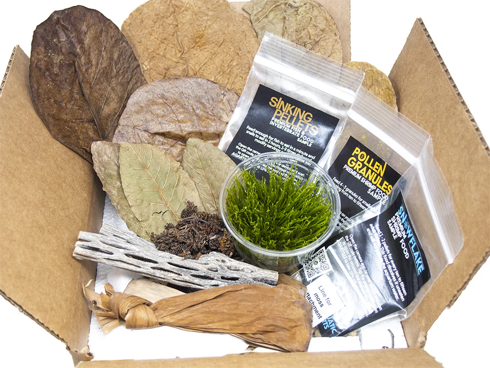 Crystal Red Shrimp Combo Box - Nestor' Aquariums & Pets