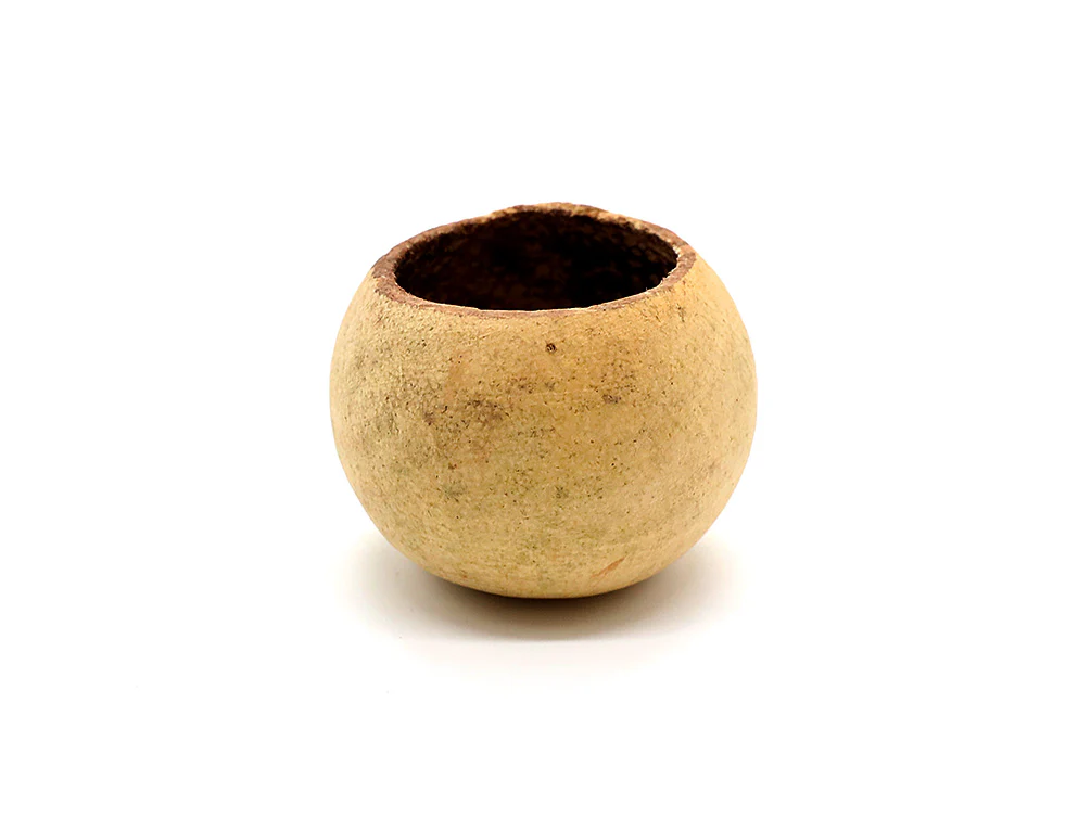 Aquatic Arts Beal Pods (Aegle marmelos) — Dried Botanicals - Nestor' Aquariums & Pets