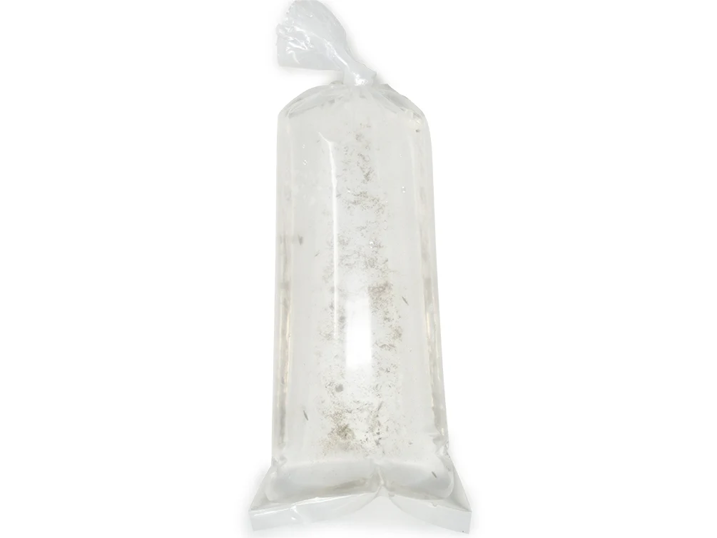 Live Daphnia and Scud Cultures Combo Pack - Aquatic Arts - Nestor' Aquariums & Pets